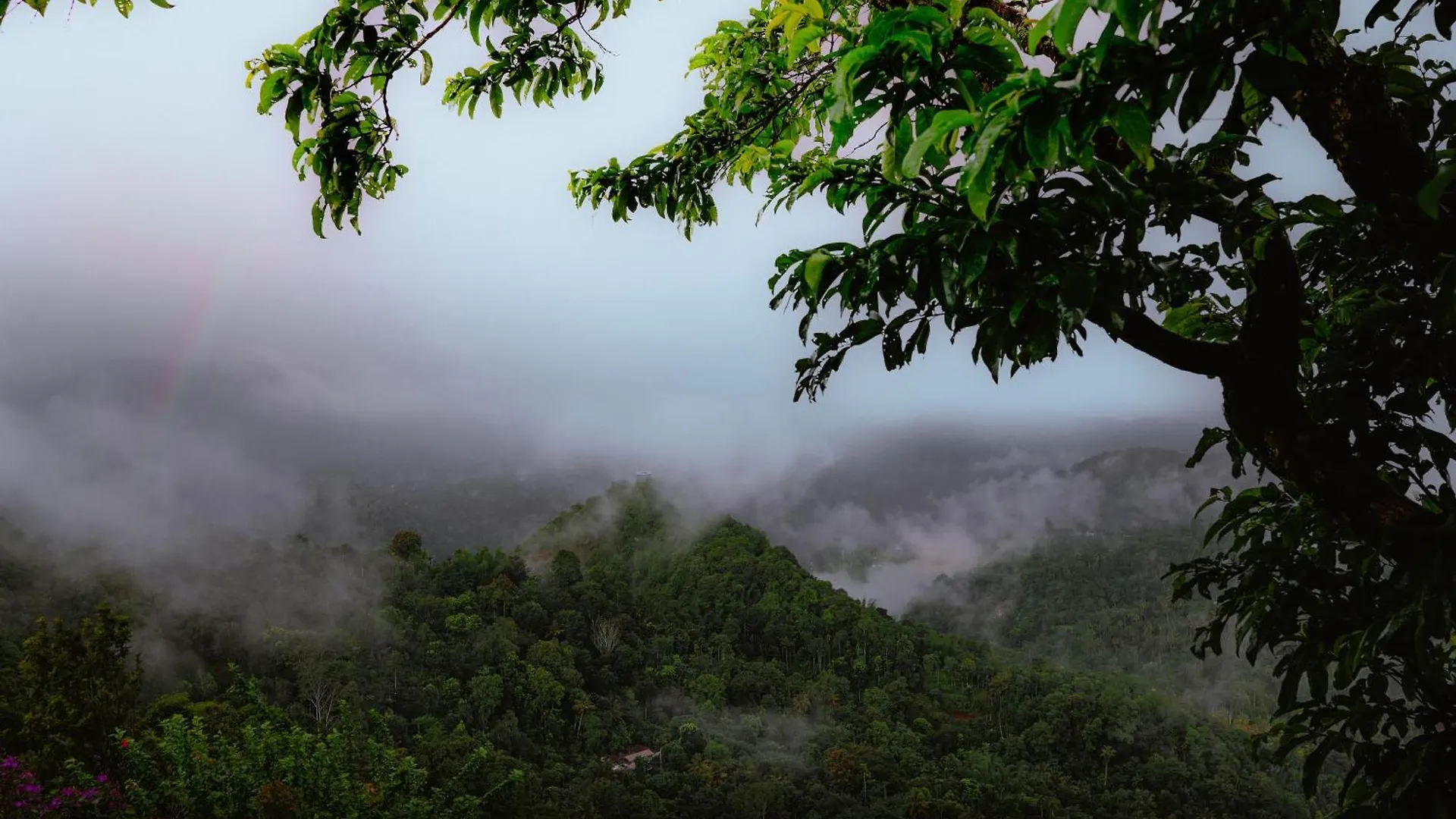 Haze And Kites Resort Munnar