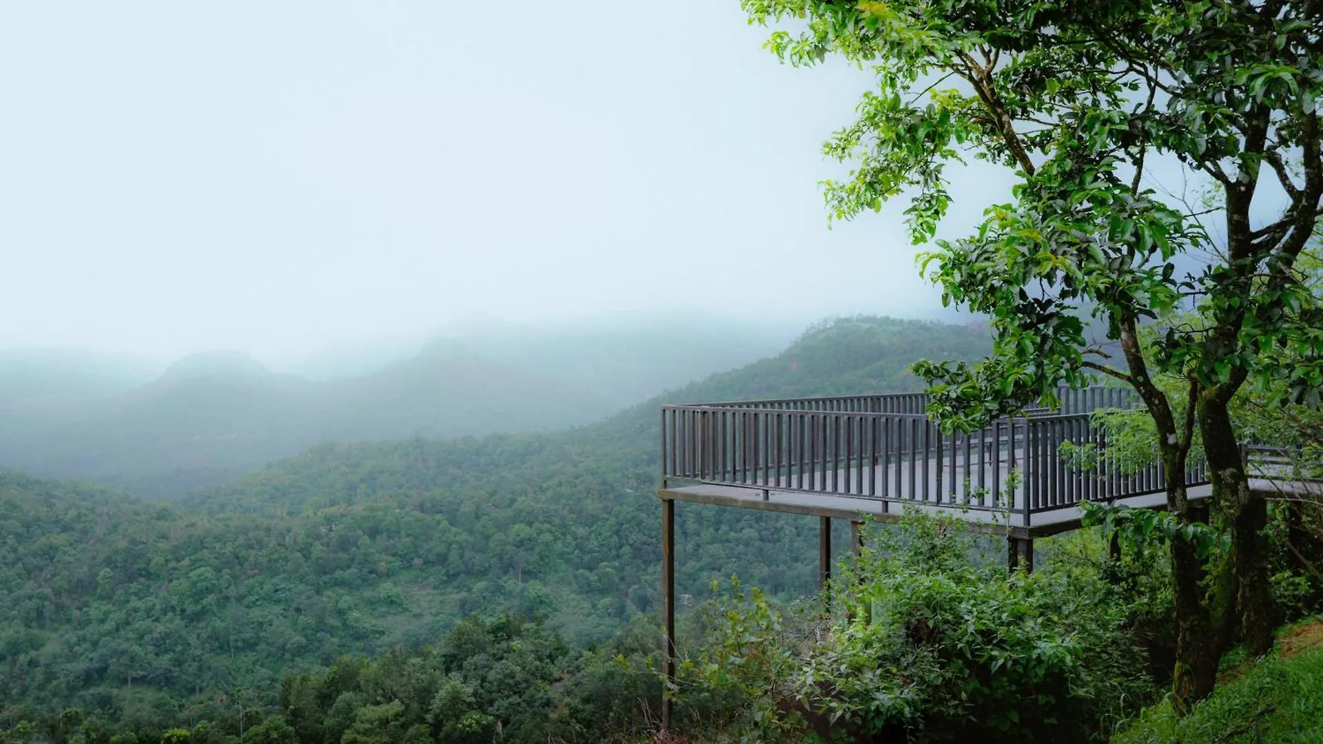 Haze And Kites Resort Munnar